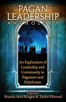 Pagan Leadership cover